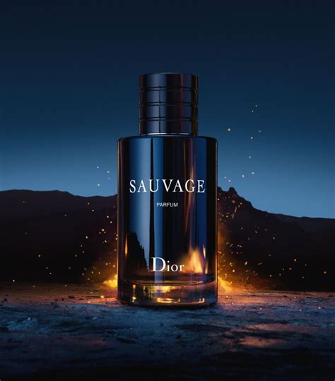 dior sauvage idealo|fragrances like Dior Sauvage.